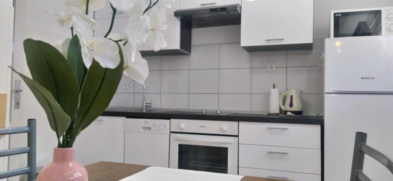 Apartment Banovac Σπλιτ Εξωτερικό φωτογραφία